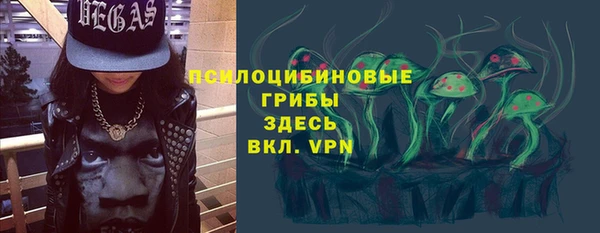 spice Арсеньев