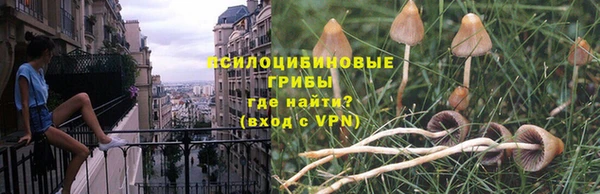 эйфоретик Аркадак