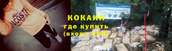 эйфоретик Аркадак