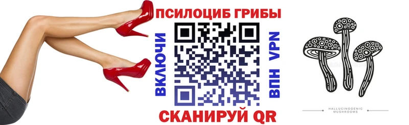 Псилоцибиновые грибы GOLDEN TEACHER купить закладку Туринск